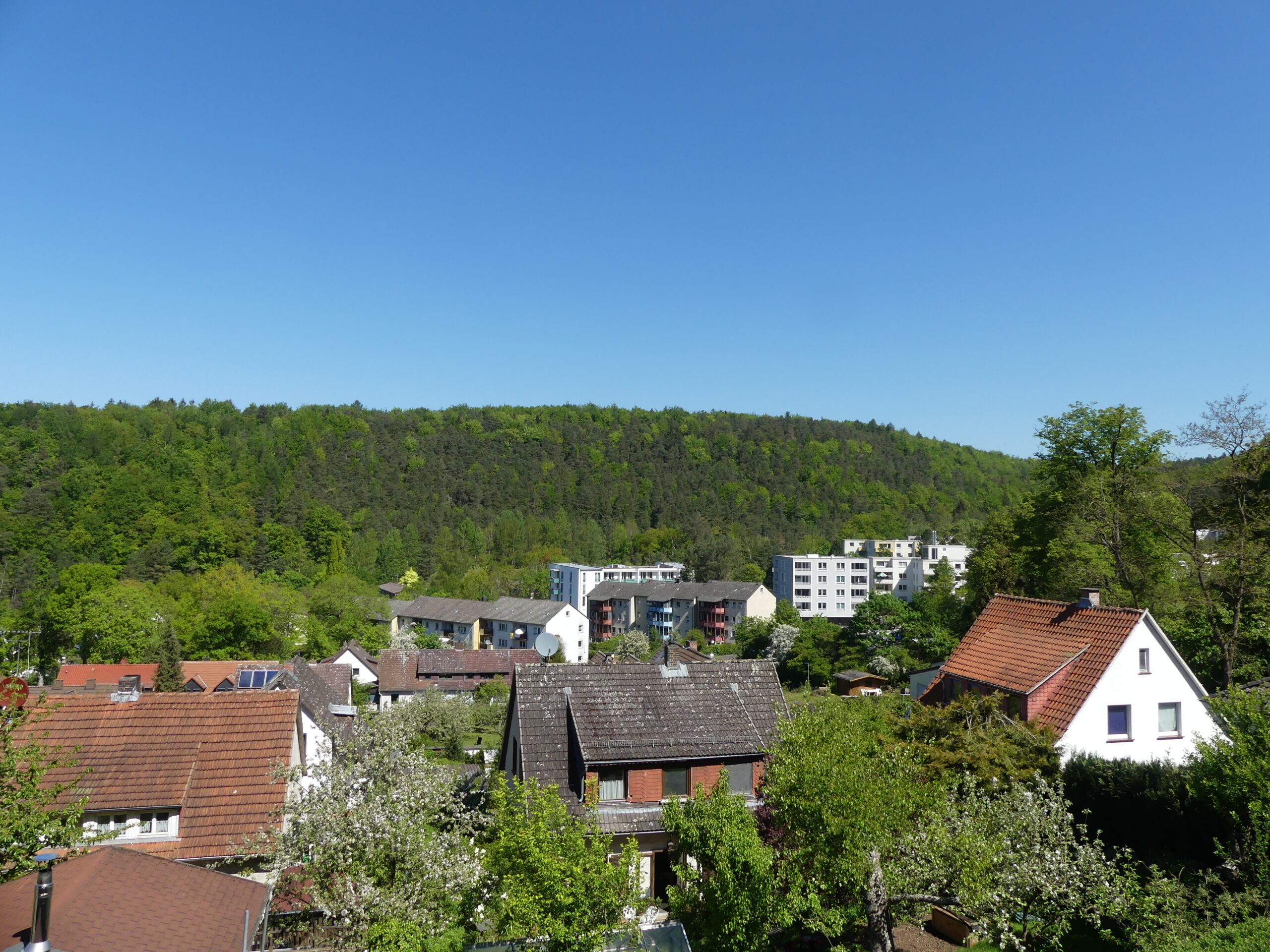 Waldtal